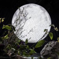 EXHIBITION：展示会 / イベント / 演出